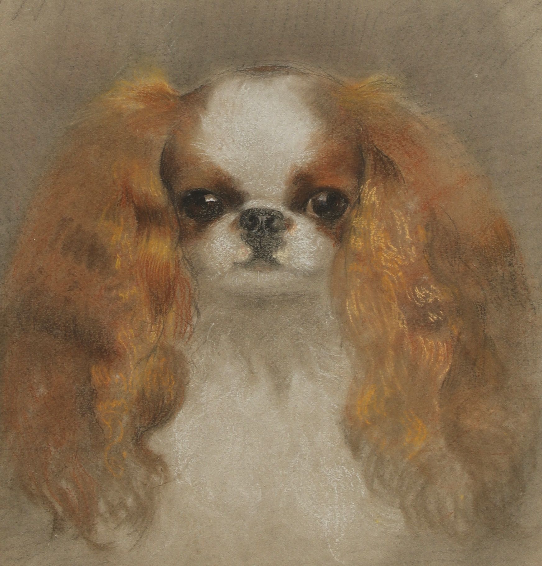 The Toy Spaniel in Art